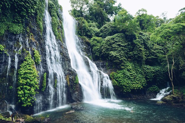 Tropical waterfall