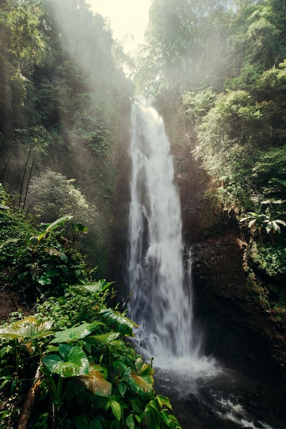 Tropical waterfall