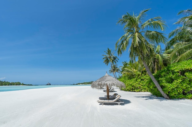 Photo tropical white sand beach at maldives island summer and holiday vacation concept