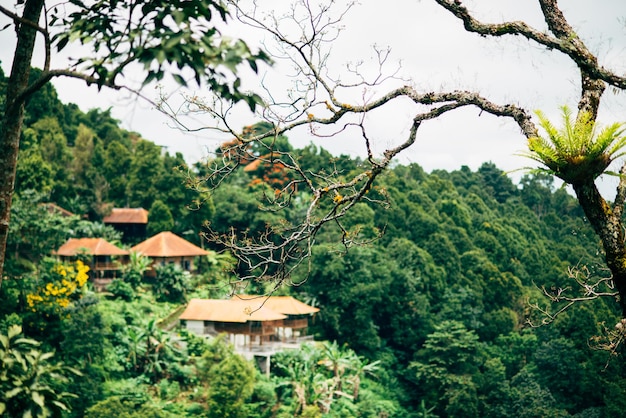 Tropics bali houses