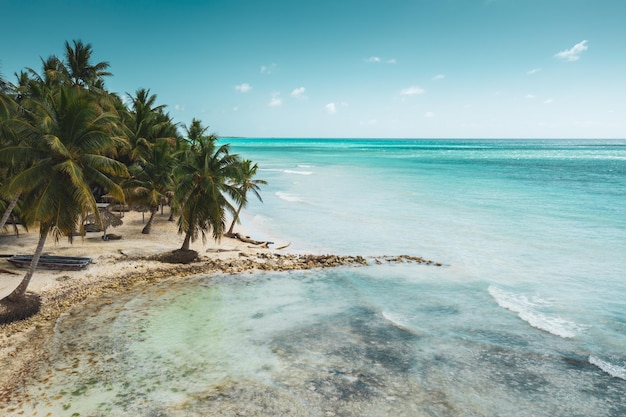 Tropisch caribisch strand