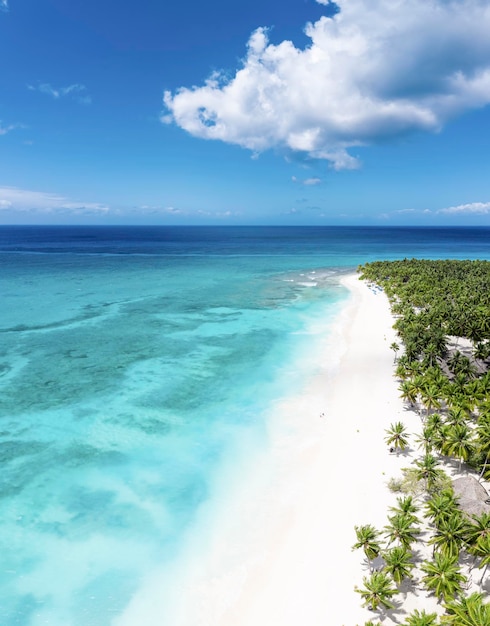 Tropisch Caribisch strand