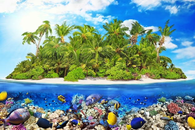 Tropisch eiland binnen atol in tropische oceaan en prachtige en mooie onderwaterwereld met koralen en tropische vissen.