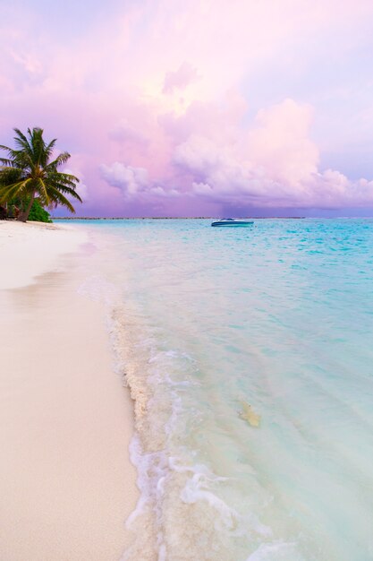 Tropisch eiland in de Maldiven met wit zandstrand en zee