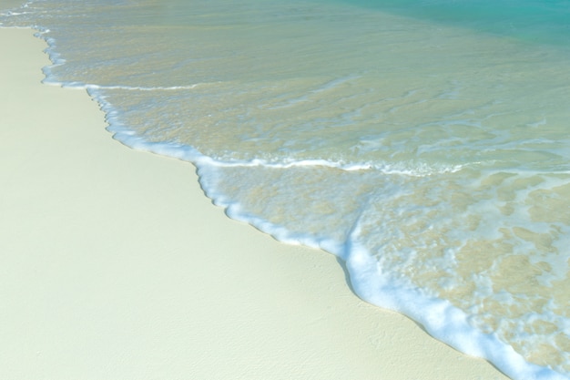 Tropisch eiland in de Maldiven met wit zandstrand en zee