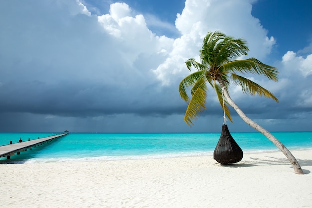 Tropisch eiland in de Maldiven met wit zandstrand en zee