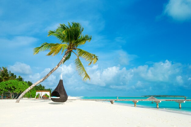 Tropisch eiland van de Maldiven met witte zandstrand en zee