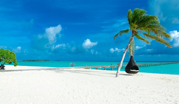 Tropisch eiland van de Maldiven met witte zandstrand en zee