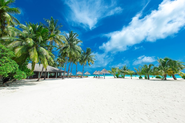 Tropisch eiland van de maldiven met witte zandstrand en zee