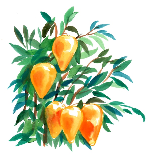 Tropisch fruit aan een boom. Inkt en aquarel tekenen