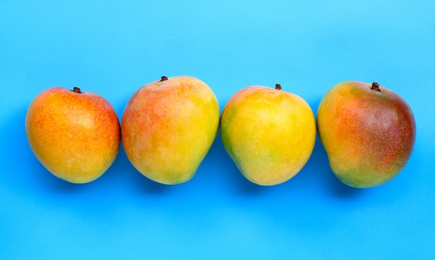 Tropisch fruit, Mango op blauwe achtergrond.