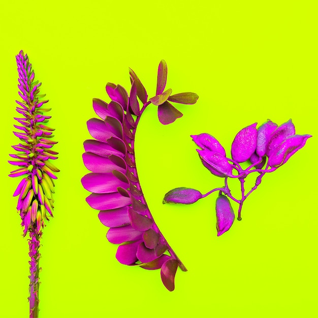 Tropisch herbarium. Bloem en palmbladeren. Minimal art design