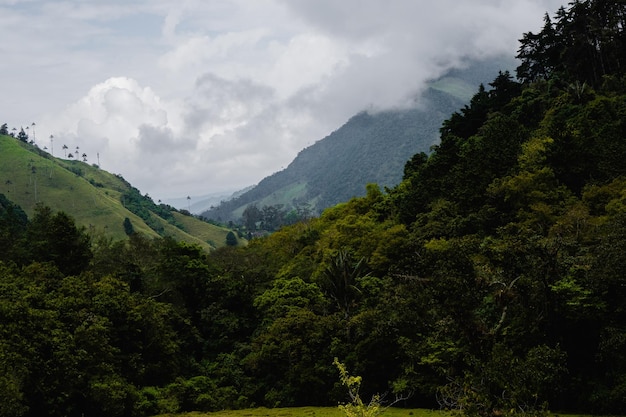 Tropisch landschap met enkele bergen in Colombia behoud van natuurgebieden