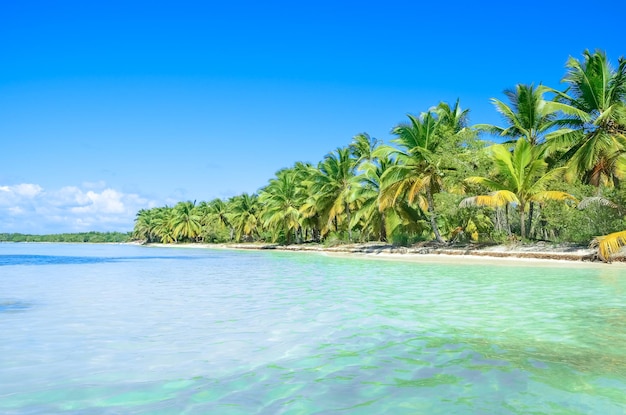 Tropisch paradijs in de Dominicaanse Republiek.