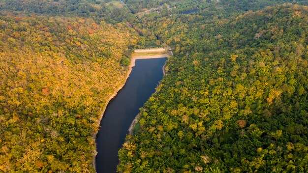 Tropisch regenwoud in herfstkleuren en natuurlijke luchtfoto van het damseizoen