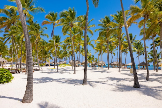 Tropisch resortstrand met wit zand en palmbomen