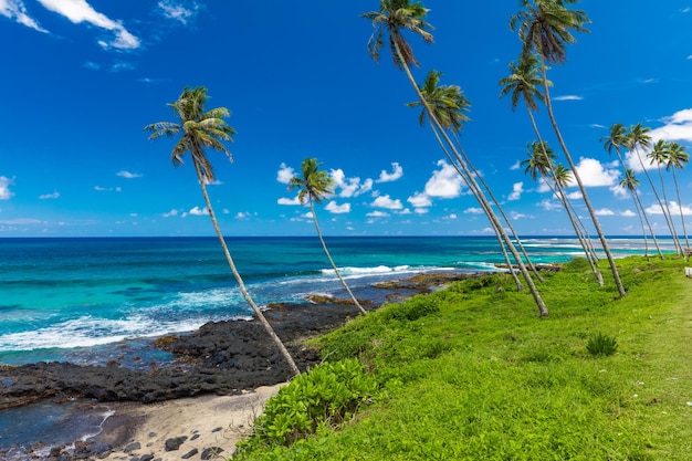 Tropisch strand aan de zuidkant van het eiland Samoa met kokospalmen