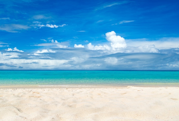 Tropisch strand Caribische zee. tropisch landschap