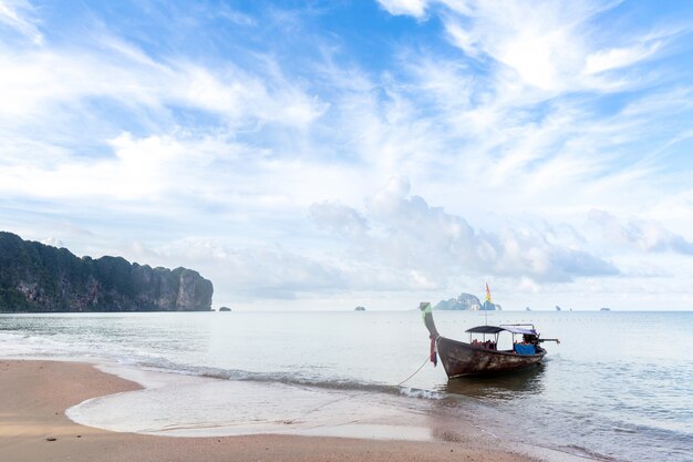 Tropisch strand en boot