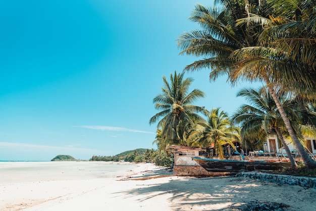 Tropisch strand en kokospalm in Koh Tao