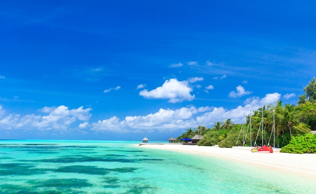 Tropisch strand in de Maldiven met enkele palmbomen en blauwe lagune