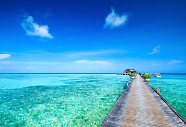 Tropisch strand in de Maldiven met enkele palmbomen en blauwe lagune