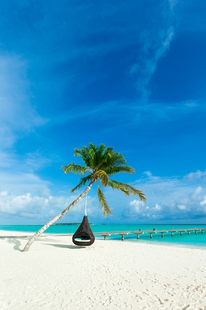 Tropisch strand in de Maldiven met enkele palmbomen en blauwe lagune