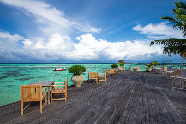 Tropisch strand in de maldiven met enkele palmbomen en blauwe lagune