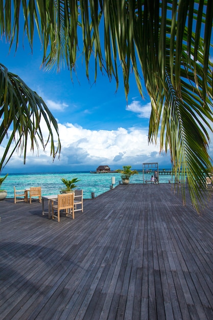 Tropisch strand in de Maldiven met weinig palmbomen en blauwe lagune