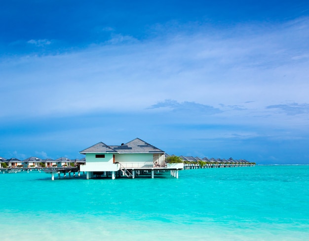 Tropisch strand in de Maldiven met weinig palmen en blauwe lagune