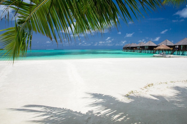 Tropisch strand in de Maldiven