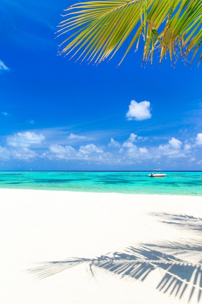 Tropisch strand in de Maldiven