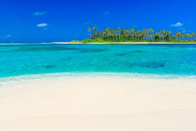 Tropisch strand in de Maldiven