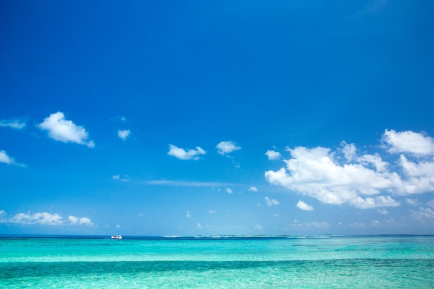 Tropisch strand in de Maldiven