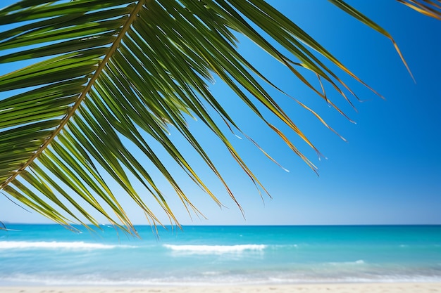 Tropisch strand in de schaduw van palmbladeren