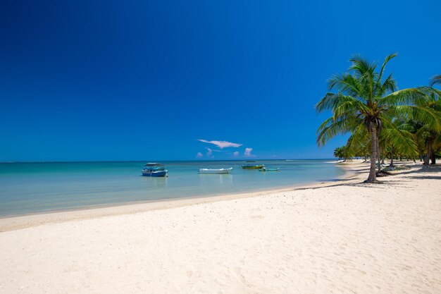 Tropisch strand in Sri Lanka. Zomervakantie en vakantieconcept voor toerisme.