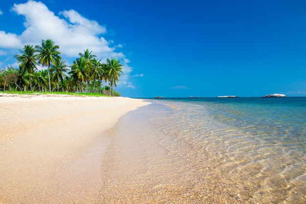 Tropisch strand in Sri Lanka. Zomervakantie en vakantieconcept voor toerisme.