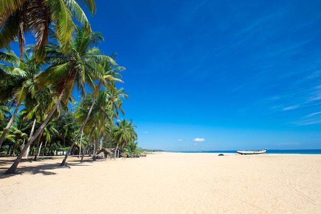 Tropisch strand in Sri Lanka Zomervakantie en vakantieconcept voor toerisme