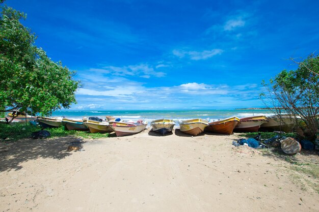 tropisch strand in Sri Lanka