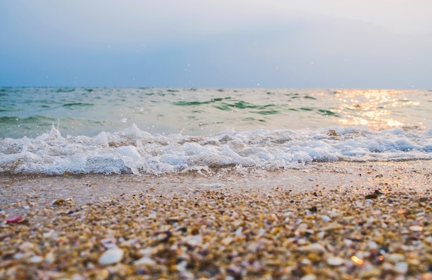 Tropisch strand met golf