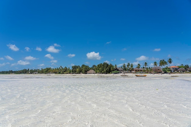 Tropisch strand met heldere waterblauwe lucht en groene palmbomen op het eiland Zanzibar Tanzania Oost-Afrika