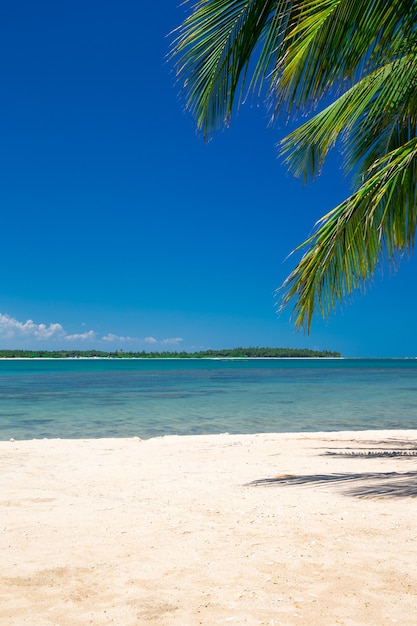 Tropisch strand met palmbomen en blauwe lagune