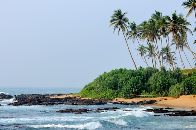 Foto tropisch strand met palmbomen op exotisch eiland