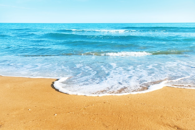 Tropisch strand met zand en zeegolf op de achtergrond