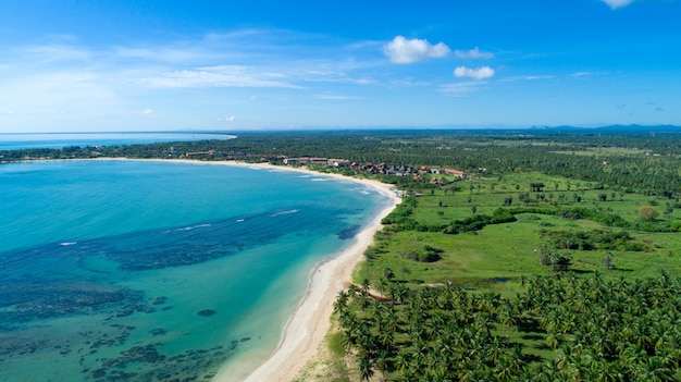 Tropisch strand met zee en palmbomen