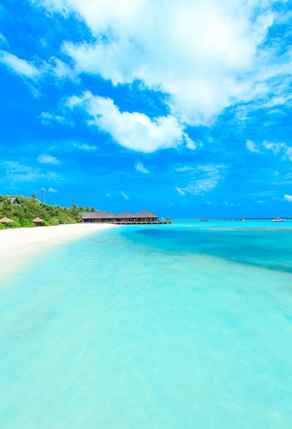 Tropisch strand op de Malediven met weinig palmbomen en blauwe lagune