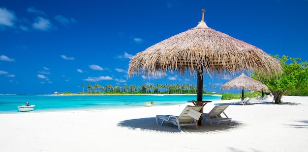 Tropisch strand op de Malediven met weinig palmbomen en blauwe lagune