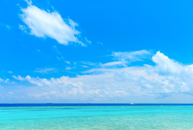 Tropisch strand op de Malediven met weinig palmbomen en blauwe lagune