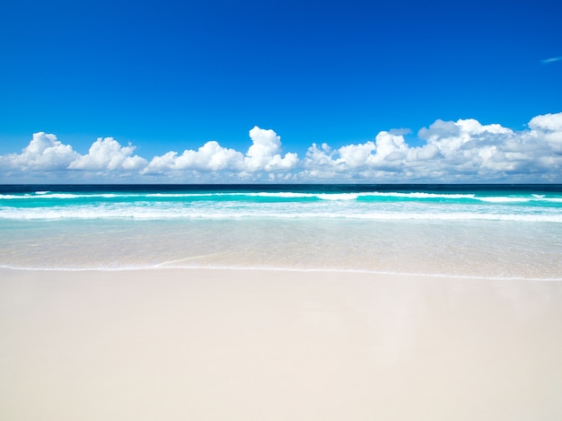 tropisch strand op zonnige dag