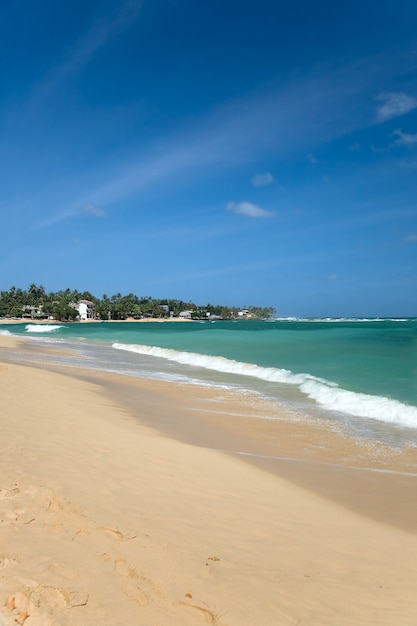 Foto tropisch strand